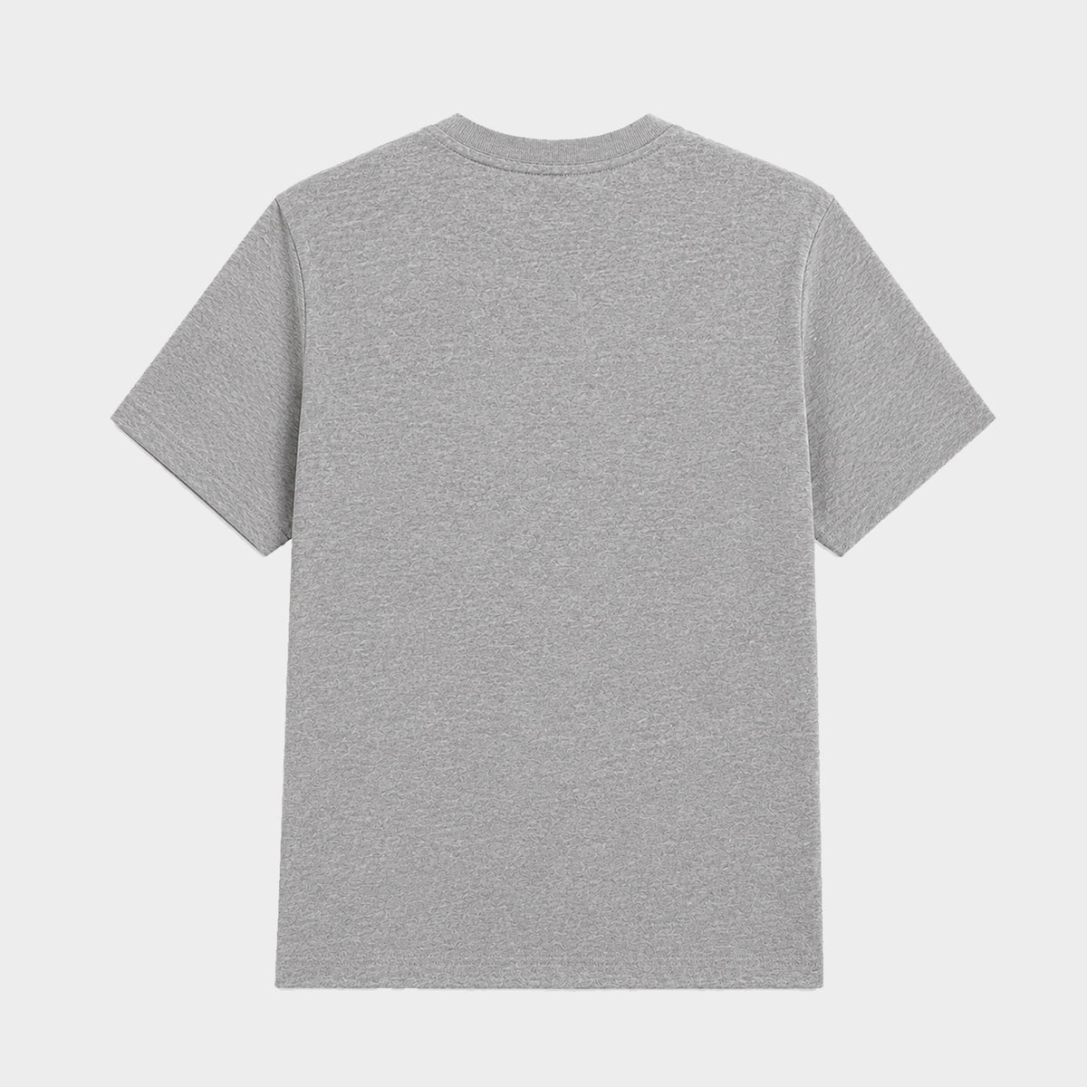 Regular Fit Plain T-Shirt (Heather Grey)