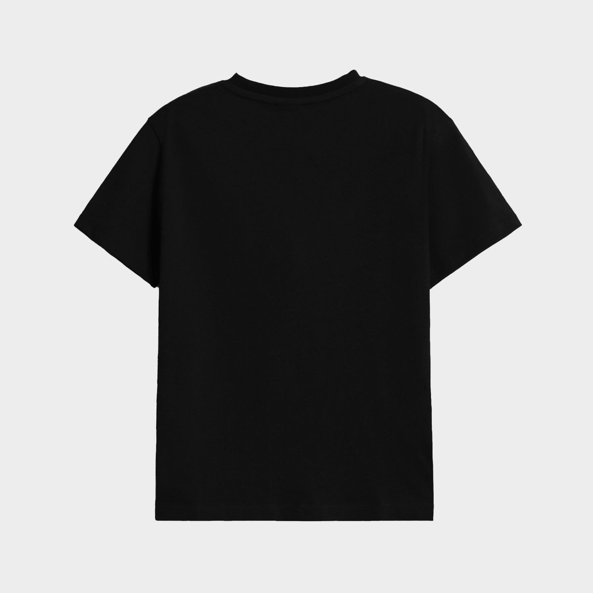 Regular Fit Plain T-Shirt (Black)