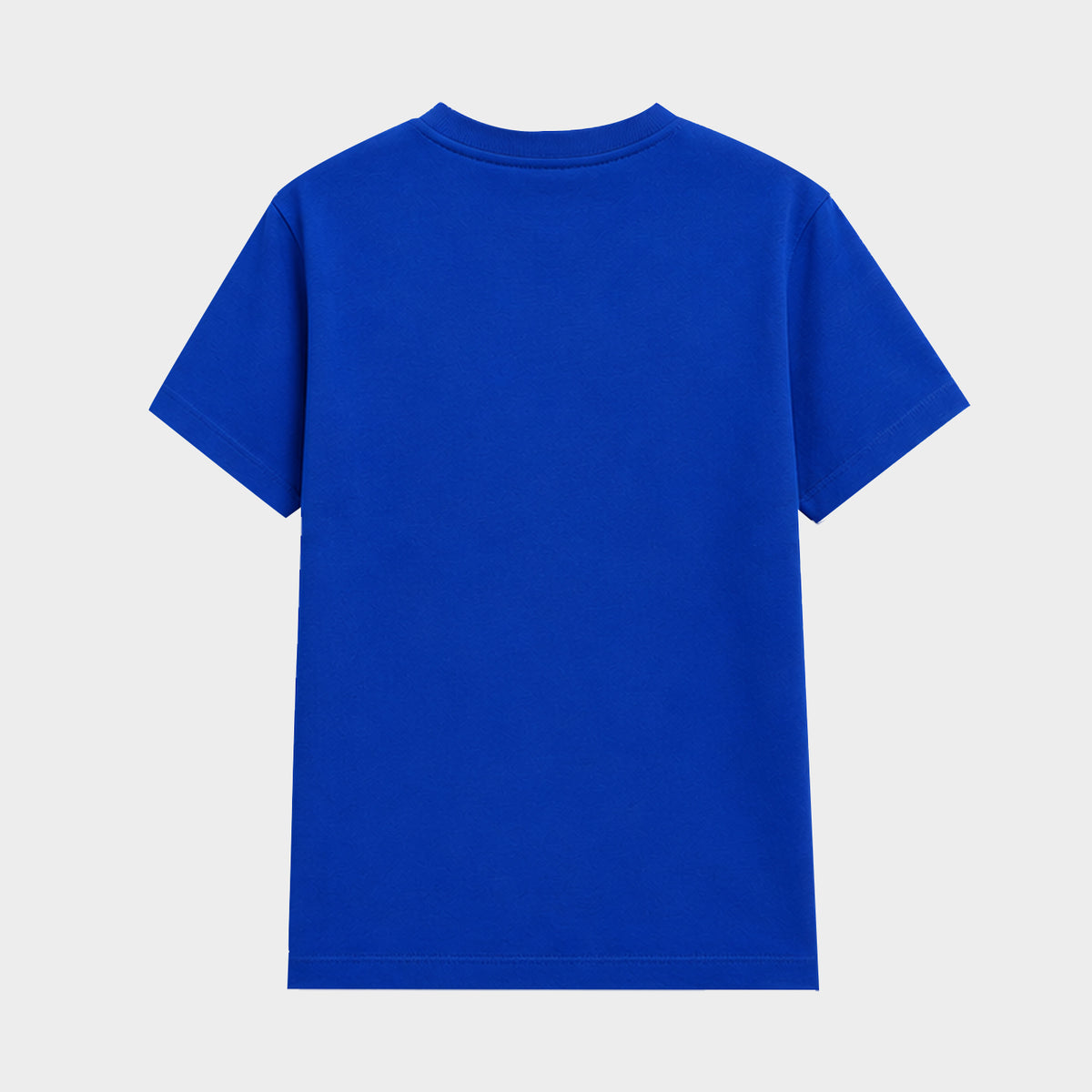 Regular Fit Plain T-Shirt (Royal Blue)